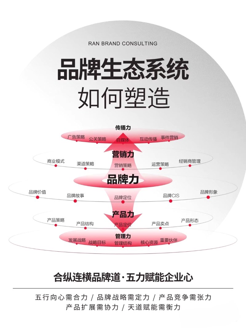 品牌推广公司的角色与作用